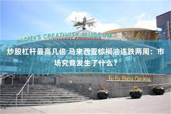 炒股杠杆最高几倍 马来西亚棕榈油连跌两周：市场究竟发生了什么？