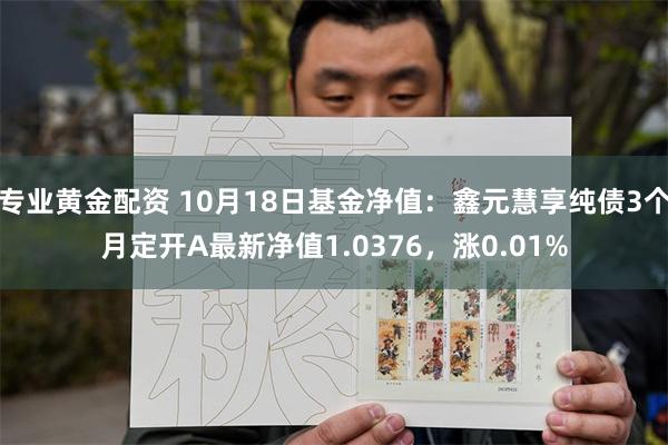 专业黄金配资 10月18日基金净值：鑫元慧享纯债3个月定开A最新净值1.0376，涨0.01%