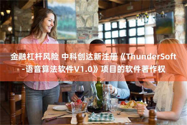 金融杠杆风险 中科创达新注册《ThunderSoft-语音算法软件V1.0》项目的软件著作权