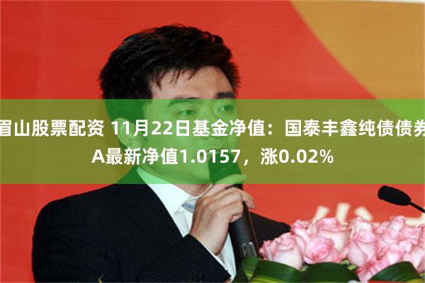 眉山股票配资 11月22日基金净值：国泰丰鑫纯债债券A最新净值1.0157，涨0.02%