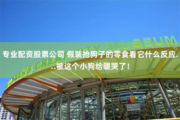 专业配资股票公司 假装抢狗子的零食看它什么反应...被这个小狗给暖哭了！